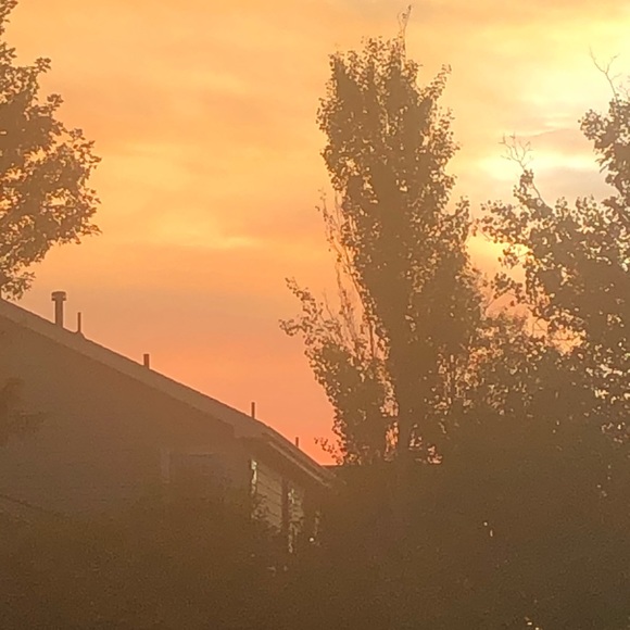 Meet your Posher, Jen. - Picture 1 of 1